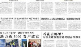 信宜最新爆料新闻事件,某重大事件引发社会关注，真相即将揭晓！