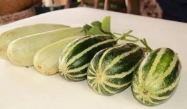 吃免费瓜,共享甜蜜，品味生活