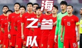 记者爆料男足视频回放,记者爆料视频回放引热议